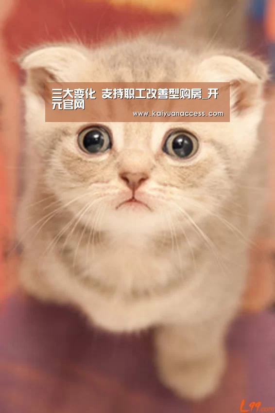 三大变化 支持职工改善型购房_开元官网(图3) 开元推荐